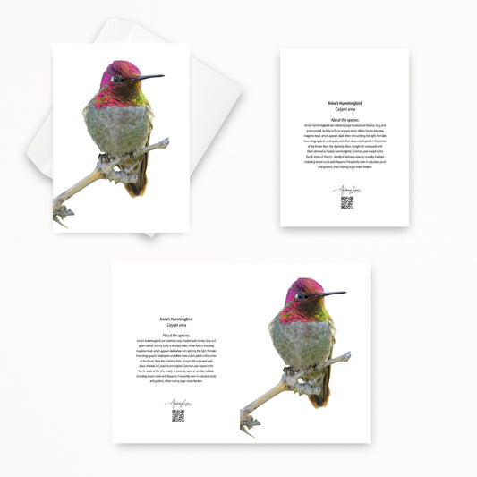 Anna’s Hummingbird 5x7 note card featuring Anthony Lujan photography
