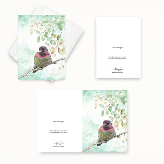 Anna's Hummingbird | 5x7 Note Card