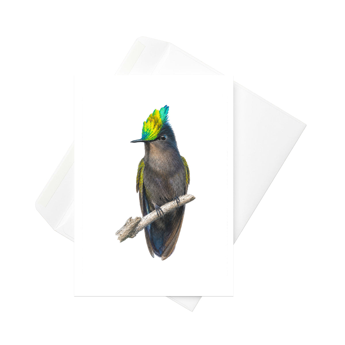 Antillean Crested Hummingbird | 5x7 Note Card