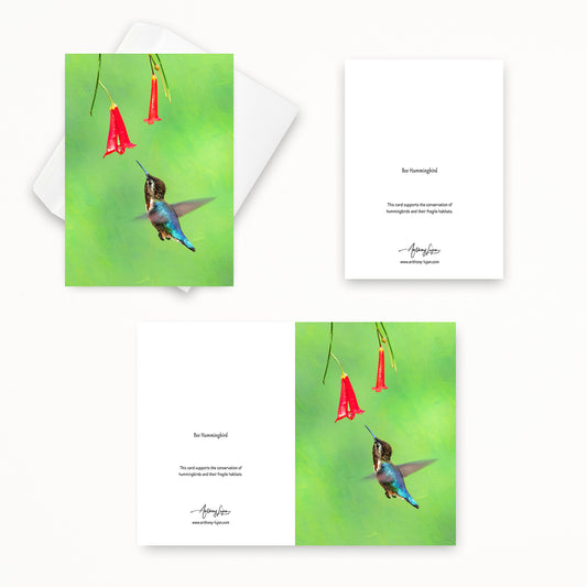 Bee Hummingbird | 5x7 Note Card