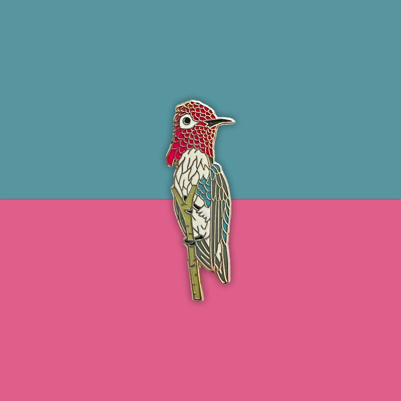 Bee Hummingbird 1.5 inch enamel pin by Anthony Lujan