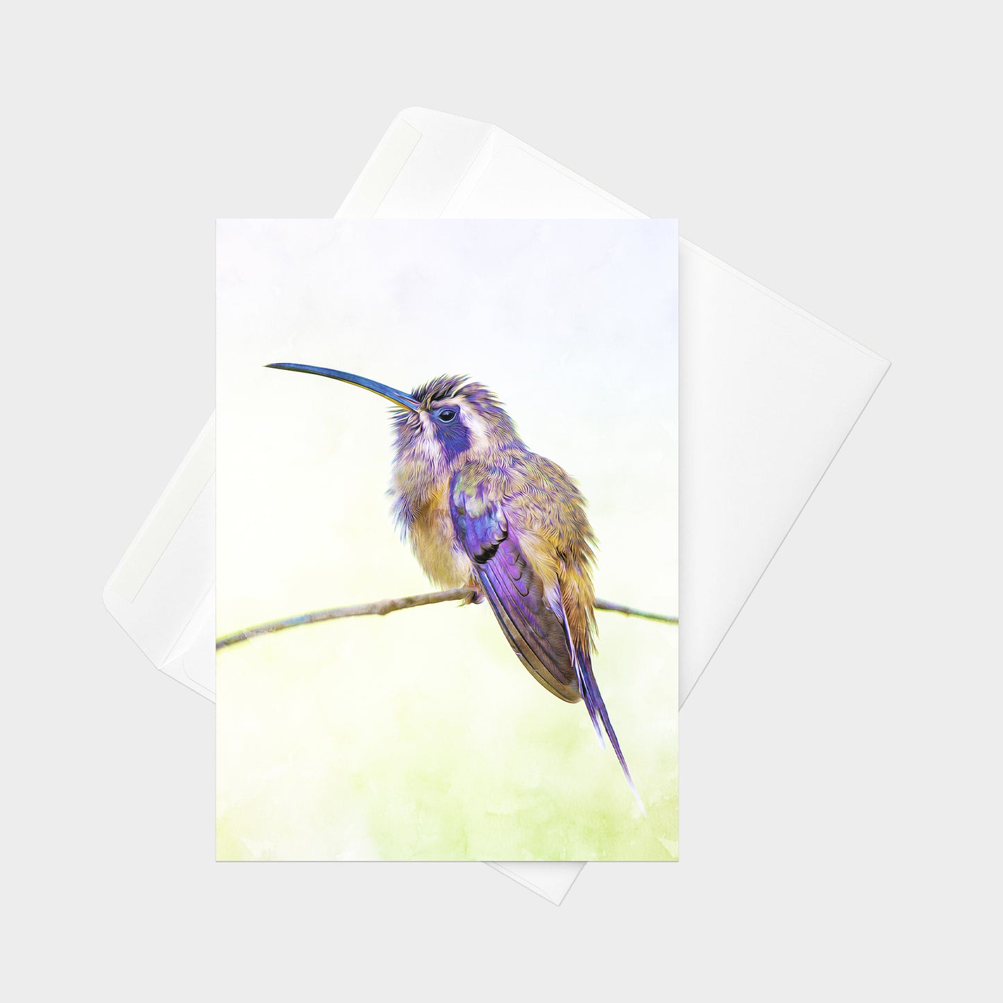 Black-throated Hermit note card back view