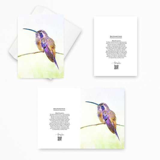 Black-throated Hermit 5x7 note card featuring Anthony Lujan photography