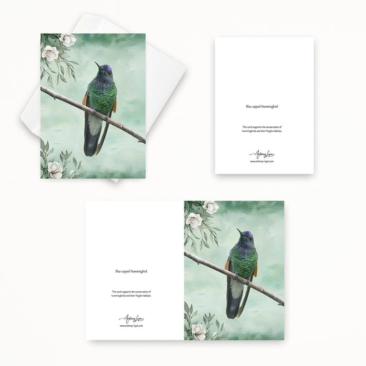Blue-capped Hummingbird | 5x7 Note Card