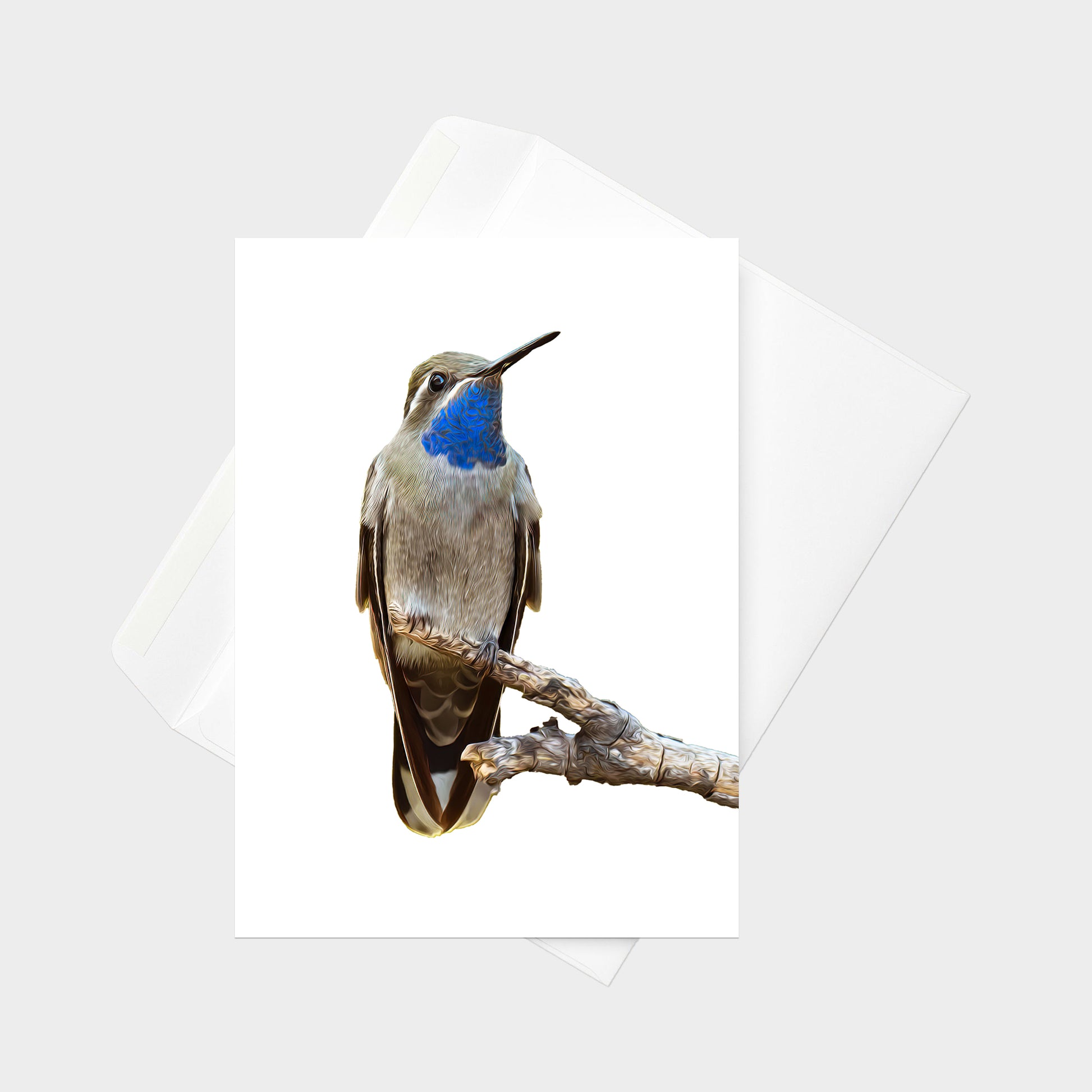 Blue-throated Mountain-gem note card back view