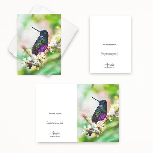 Blue-throated Starfrontlet | 5x7 Note Card