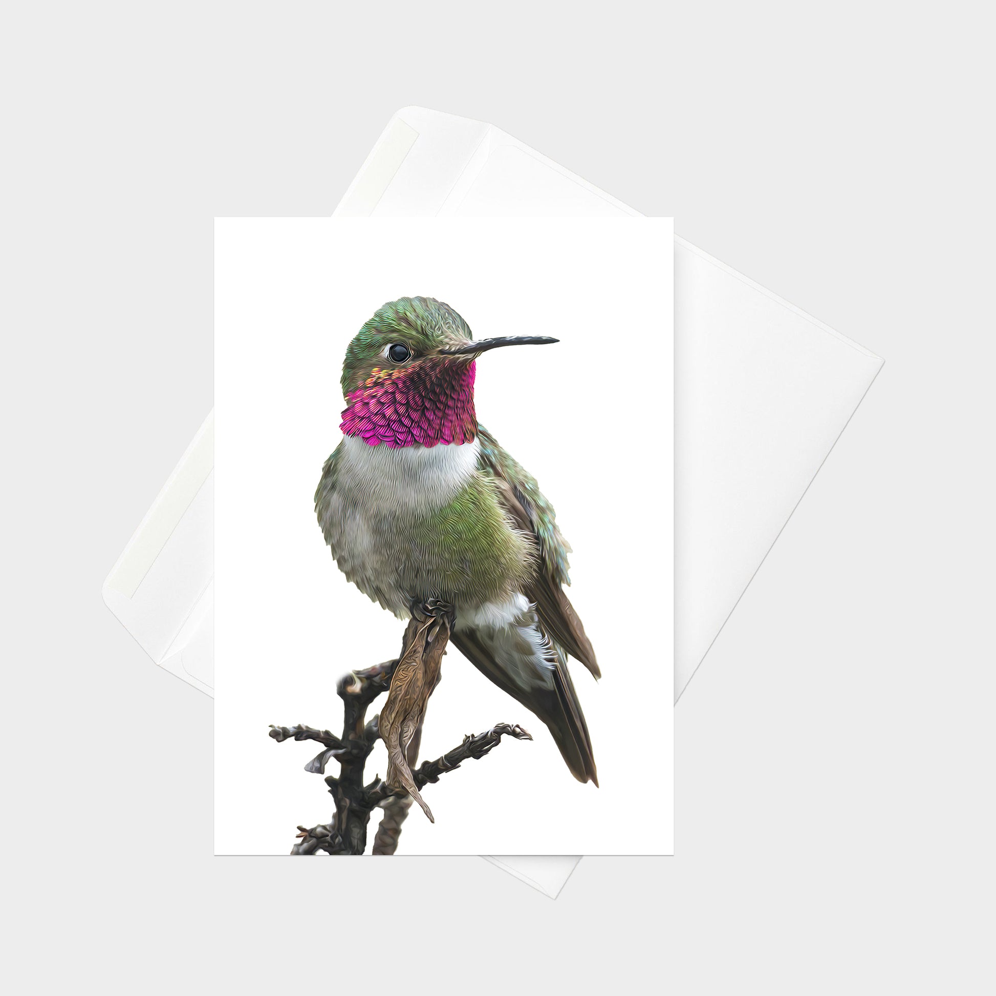 Broad-tailed Hummingbird note card back view