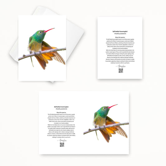 Buff-bellied Hummingbird 5x7 note card featuring Anthony Lujan photography