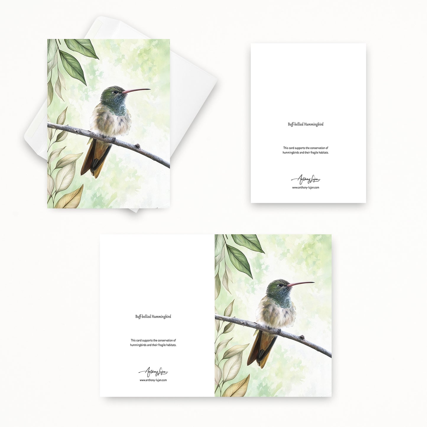 Buff-bellied Hummingbird | 5x7 Note Card