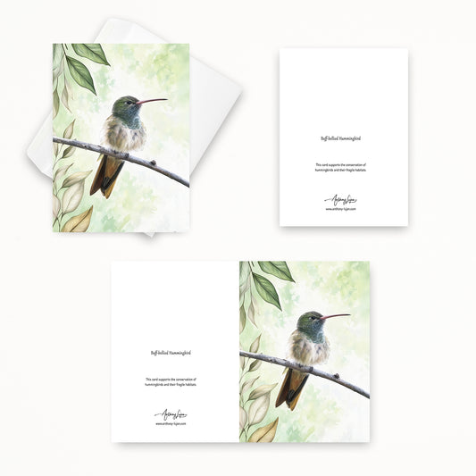 Buff-bellied Hummingbird | 5x7 Note Card