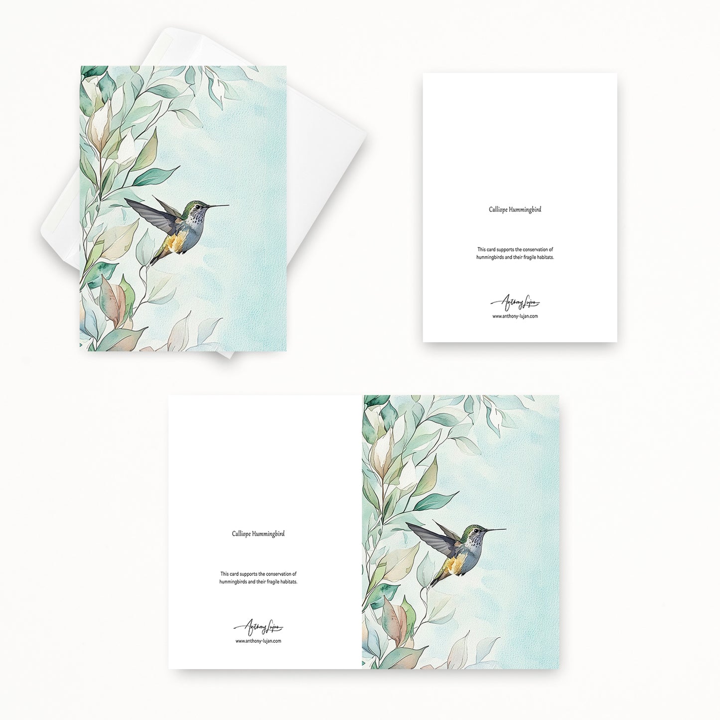 Calliope Hummingbird | 5x7 Note Card