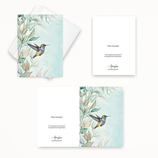 Calliope Hummingbird | 5x7 Note Card