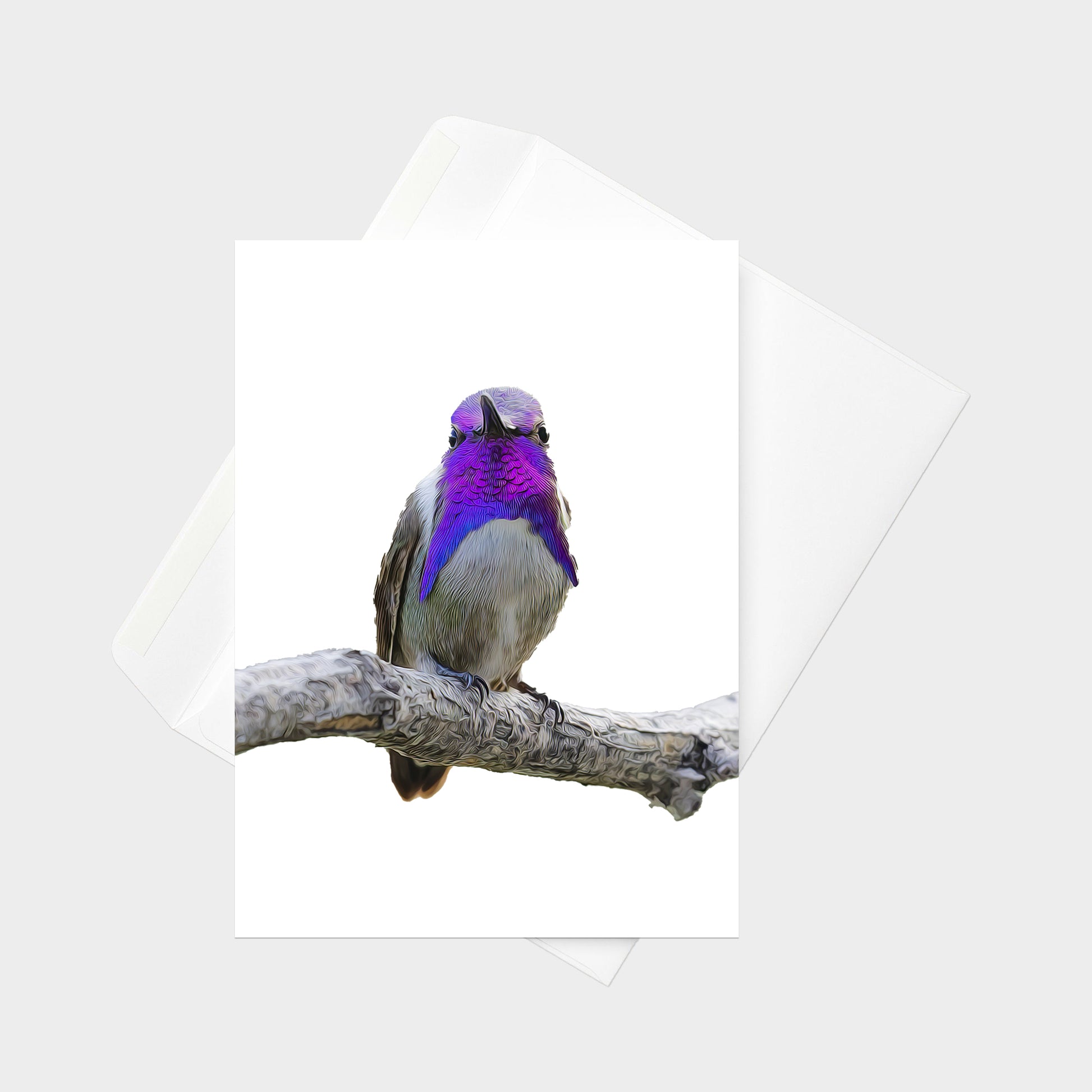 Costa’s Hummingbird note card back view