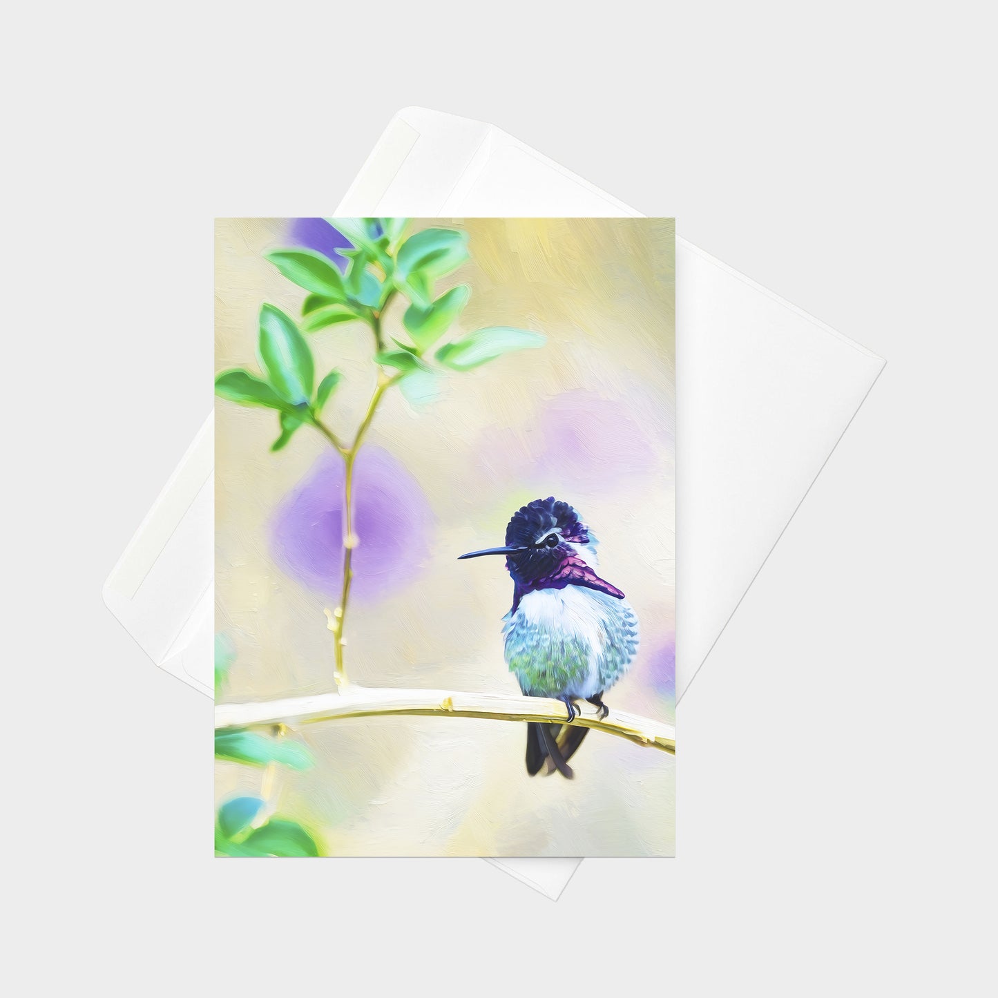 Costa's Hummingbird | 5x7 Note Card