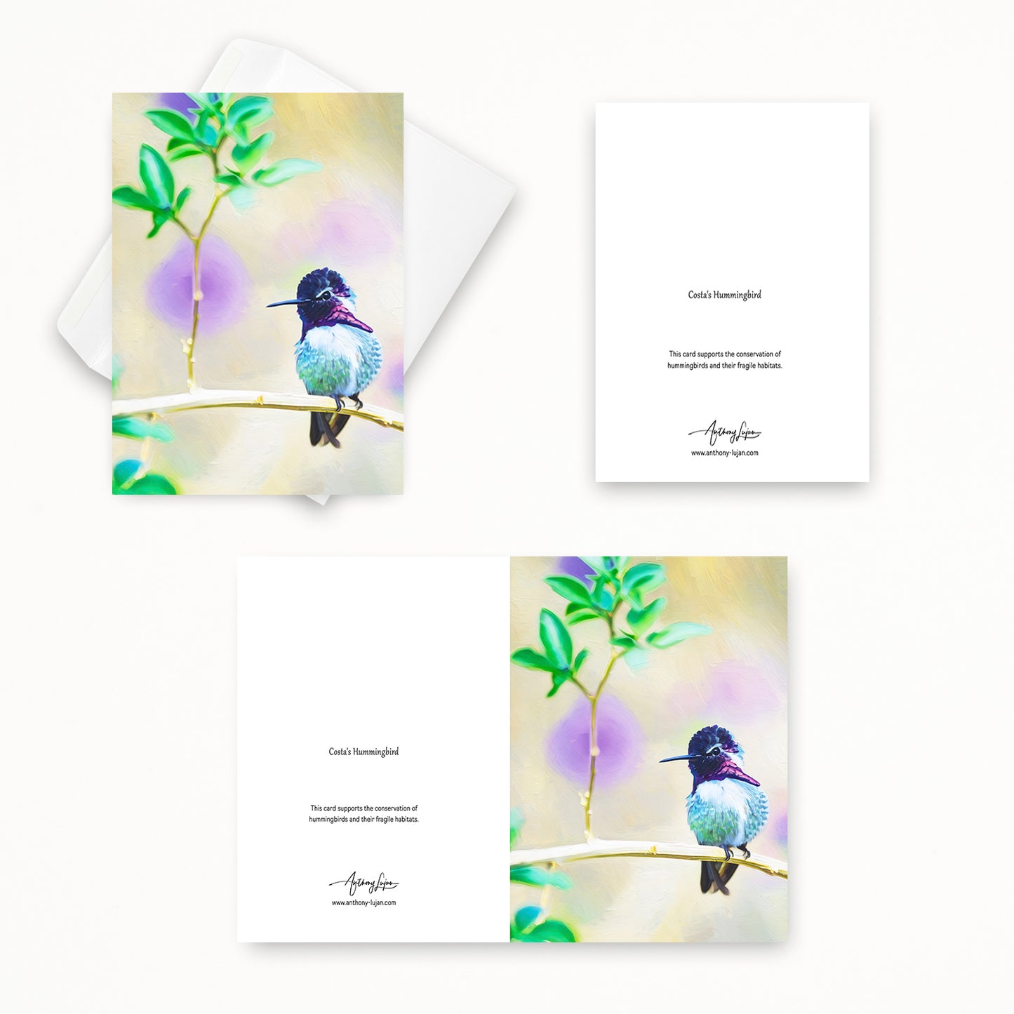 Costa's Hummingbird | 5x7 Note Card