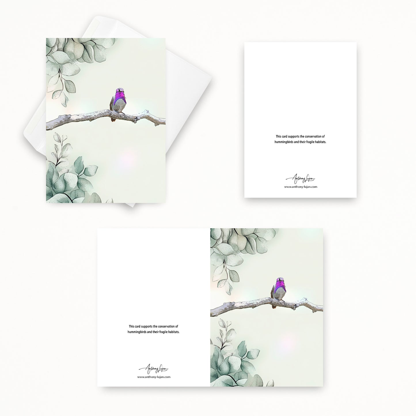 Costa's Hummingbird | 5x7 Note Card