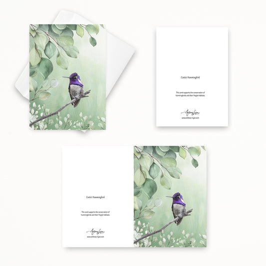 Costa's Hummingbird | 5x7 Note Card