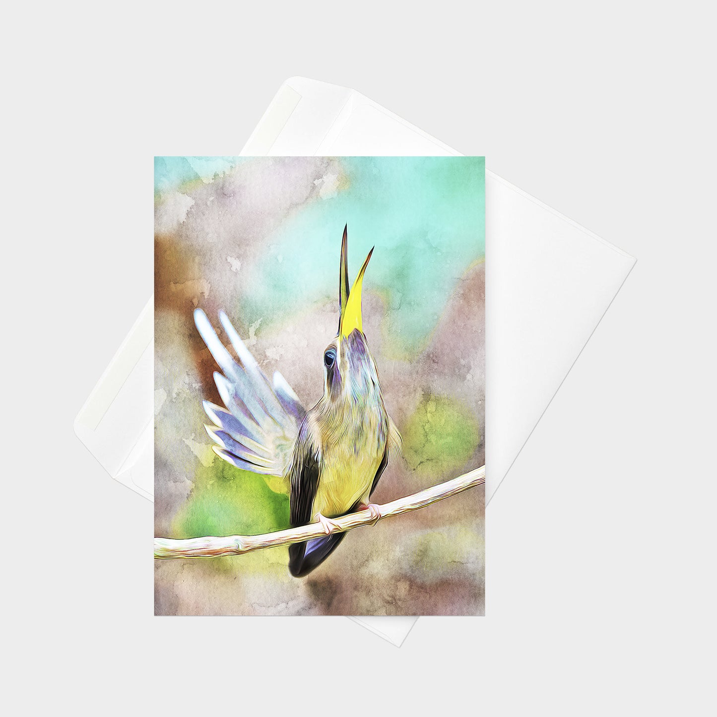 Dusky-throated Hermit note card back view