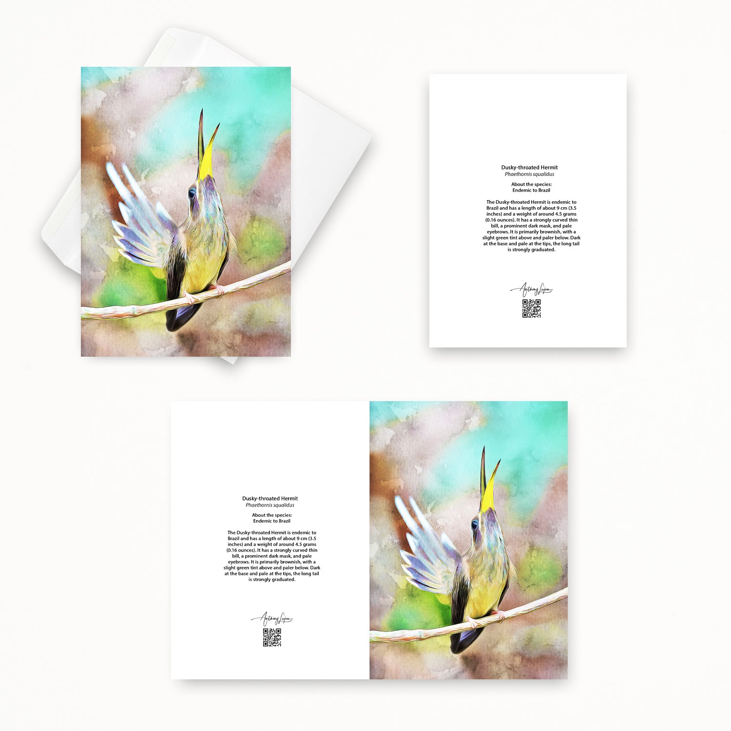 Dusky-throated Hermit and bee 5x7 note card featuring Anthony Lujan photography