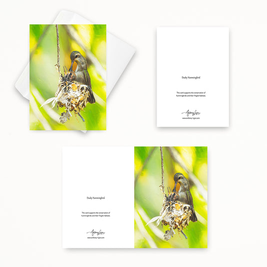 Dusky Hummingbird | 5x7 Note Card