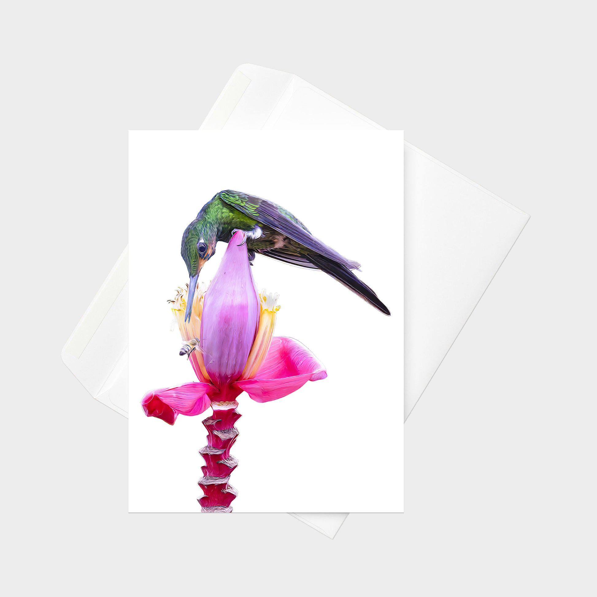 Empress Brilliant note card back view