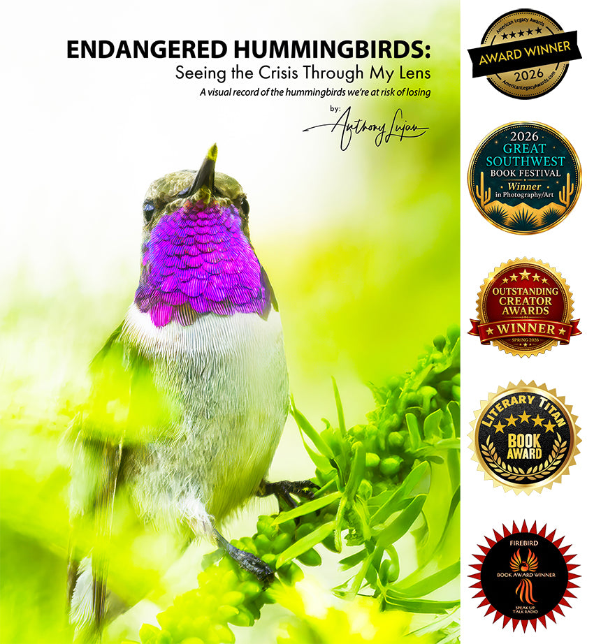 Awards for Endangered Hummingbirds by Anthony Lujan