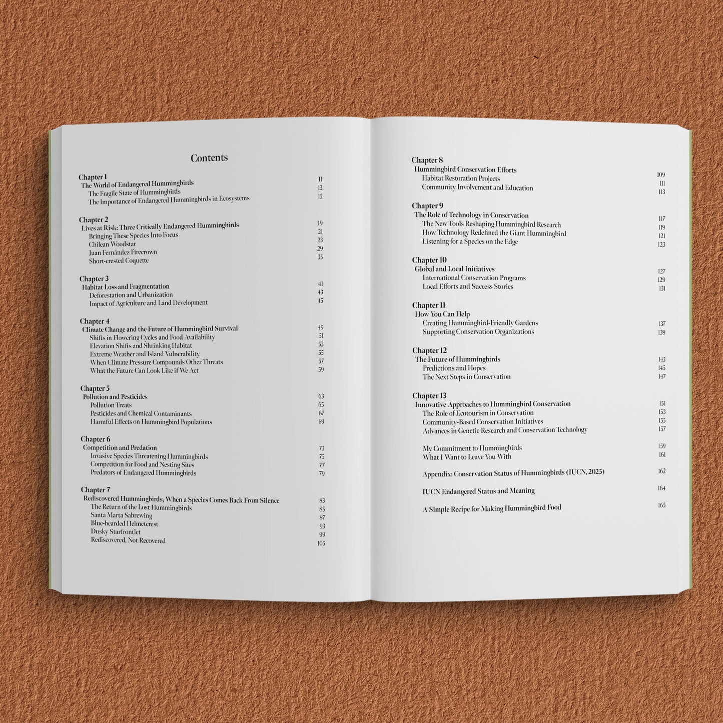 Interior pages from Endangered Hummingbirds by Anthony Lujan