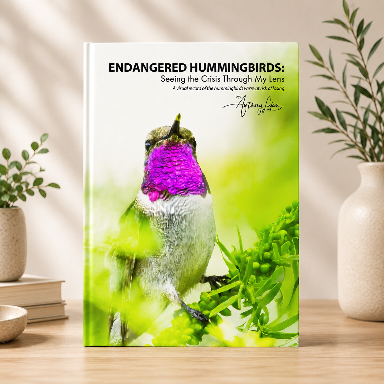 Endangered Hummingbirds: Seeing the Crisis Through My Lens - Hardcover