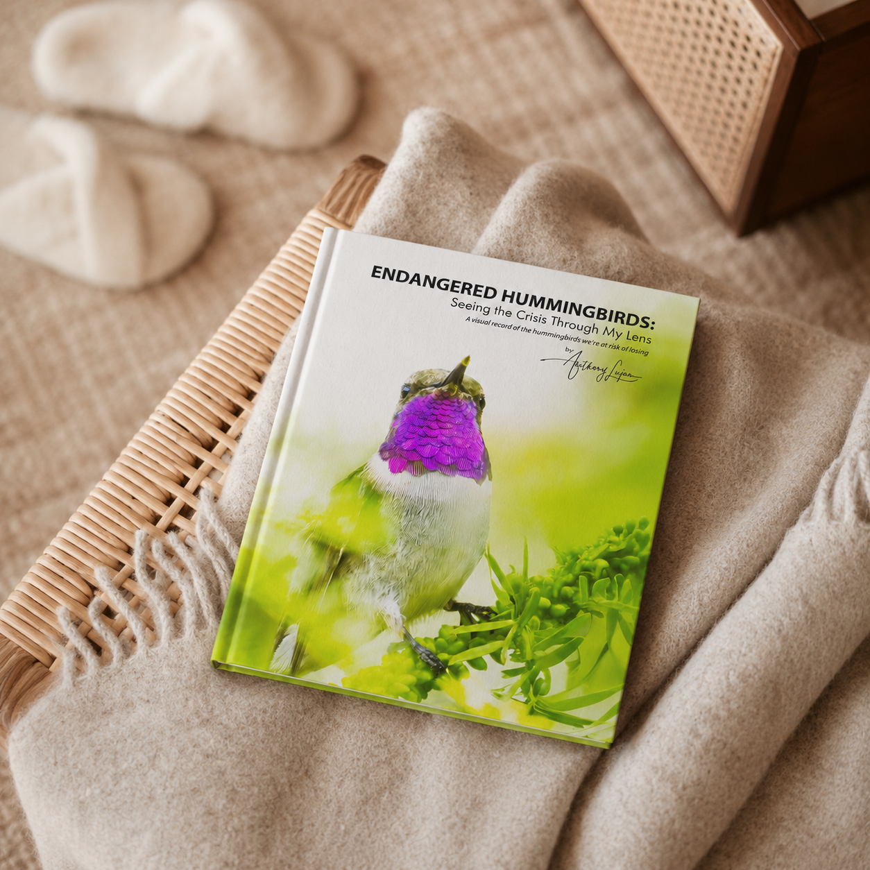 Endangered Hummingbirds hardcover book by Anthony Lujan