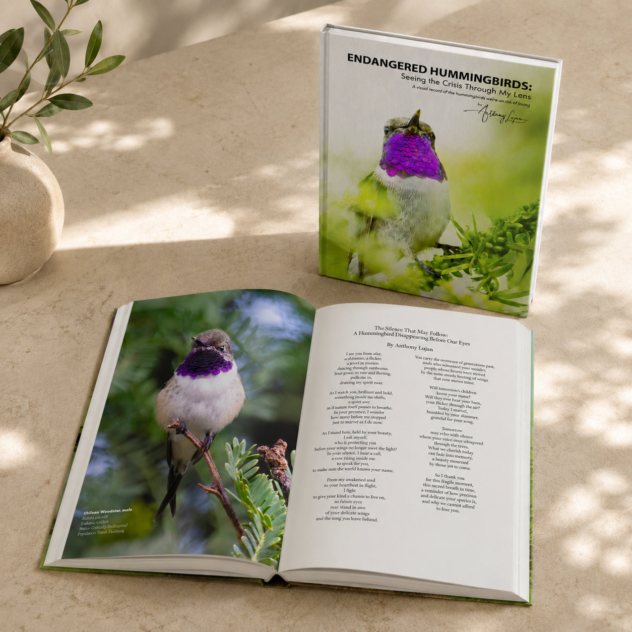 Endangered Hummingbirds book mockup showing hardcover cover design