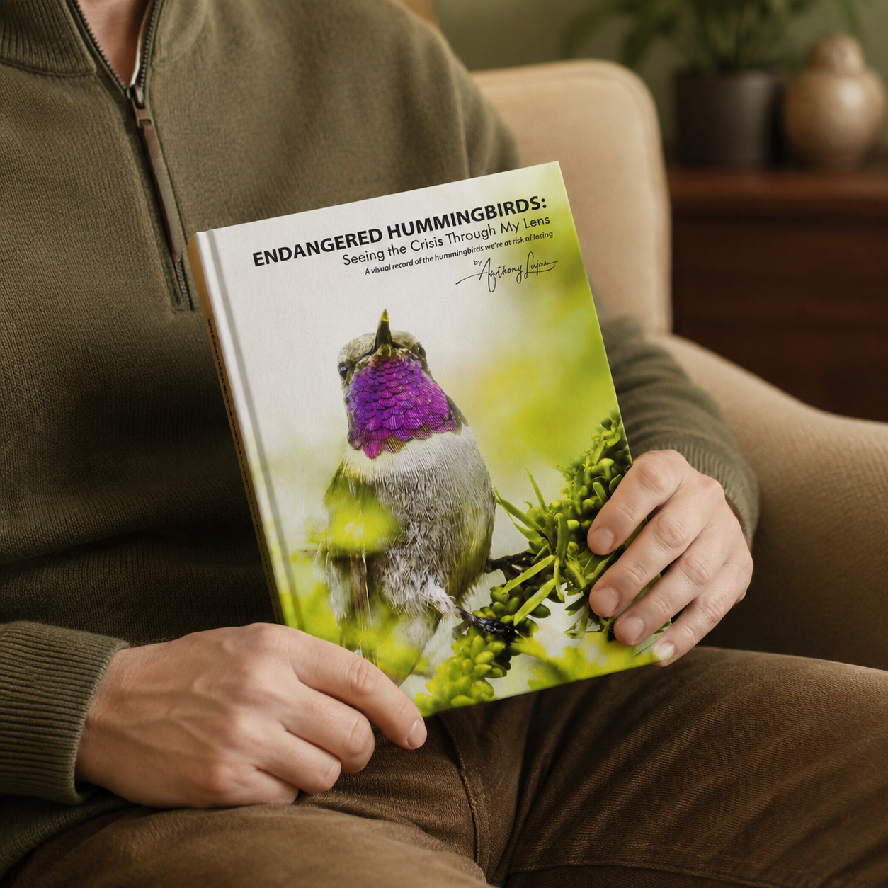 Endangered Hummingbirds book display mockup by Anthony Lujan