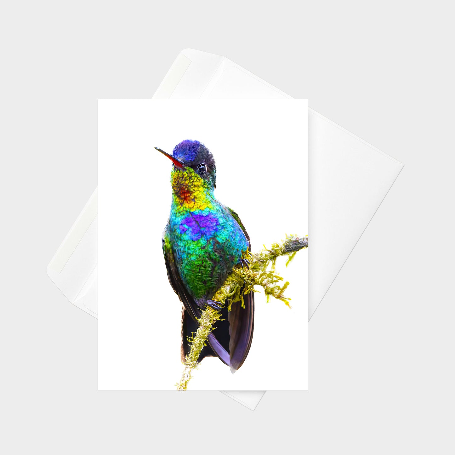 Fiery-throated Hummingbird note card back view