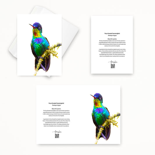Fiery-throated Hummingbird 5x7 note card featuring Anthony Lujan photography