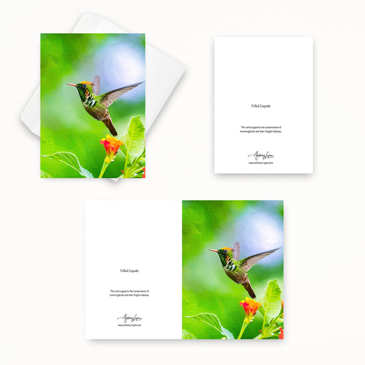 Frilled Coquette | 5x7 Note Card