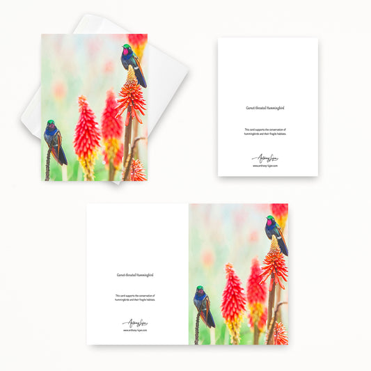 Garnet-throated Hummingbird | 5x7 Note Card