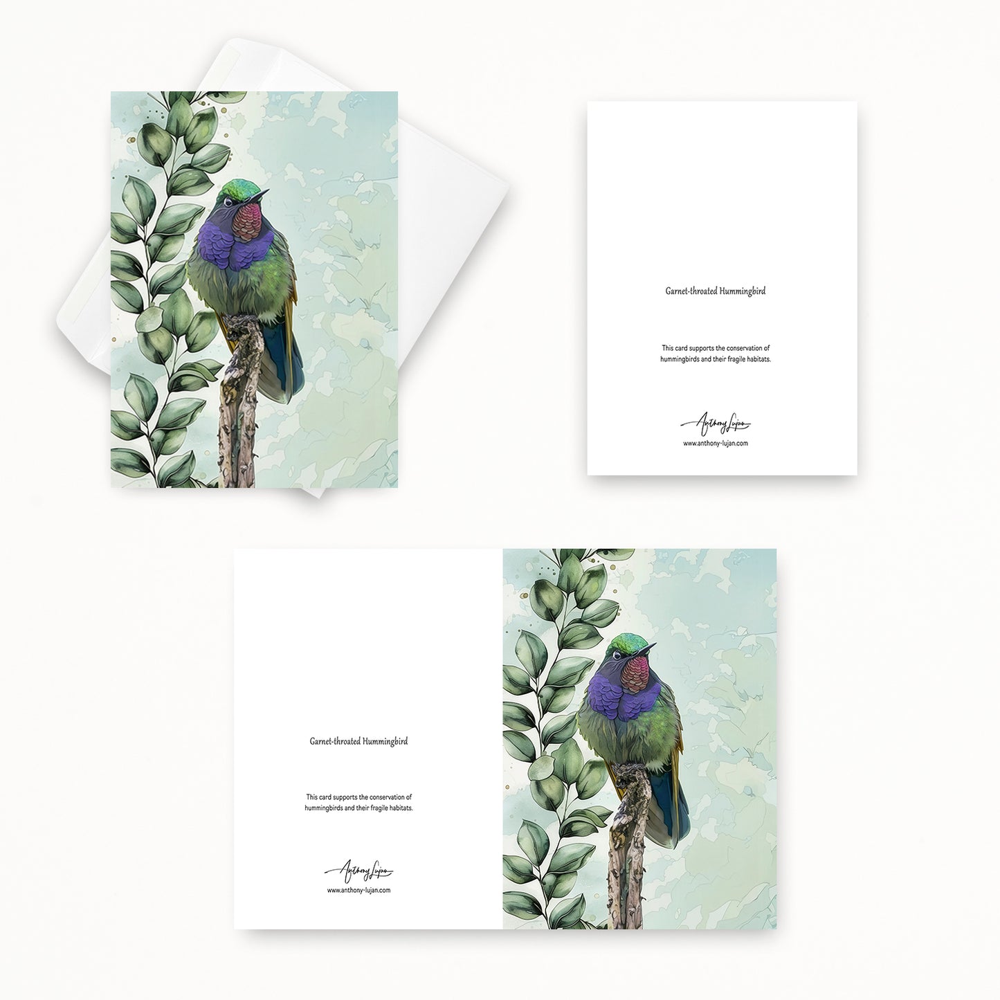 Garnet-throated Hummingbird | 5x7 Note Card