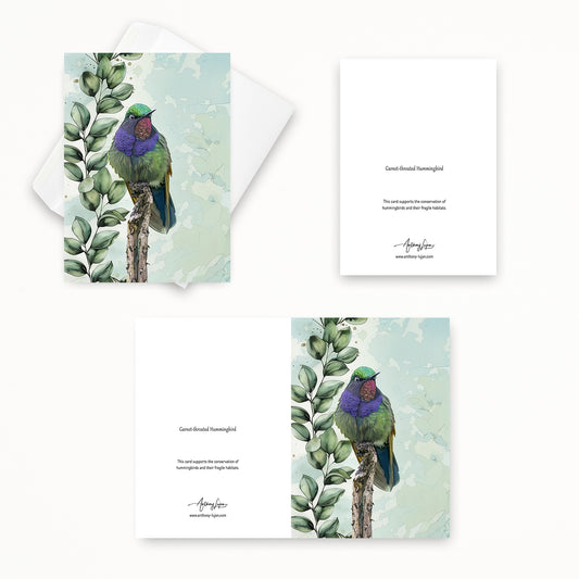 Garnet-throated Hummingbird | 5x7 Note Card