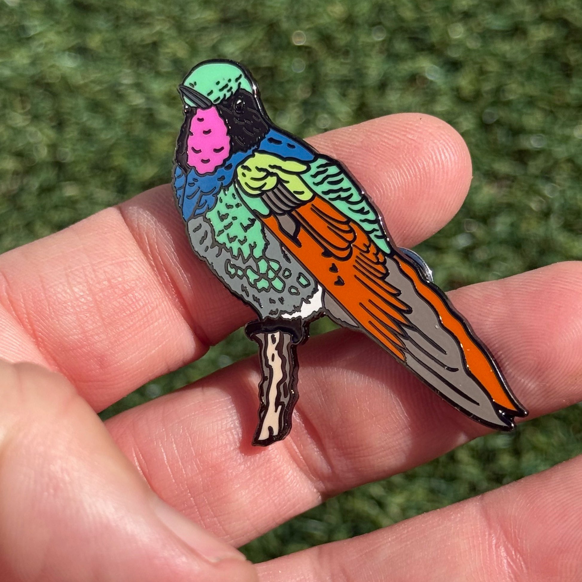 Garnet-throated Hummingbird pin in hand
