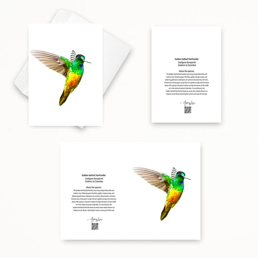 Golden-bellied Starfrontlet 5x7 note card featuring Anthony Lujan photography