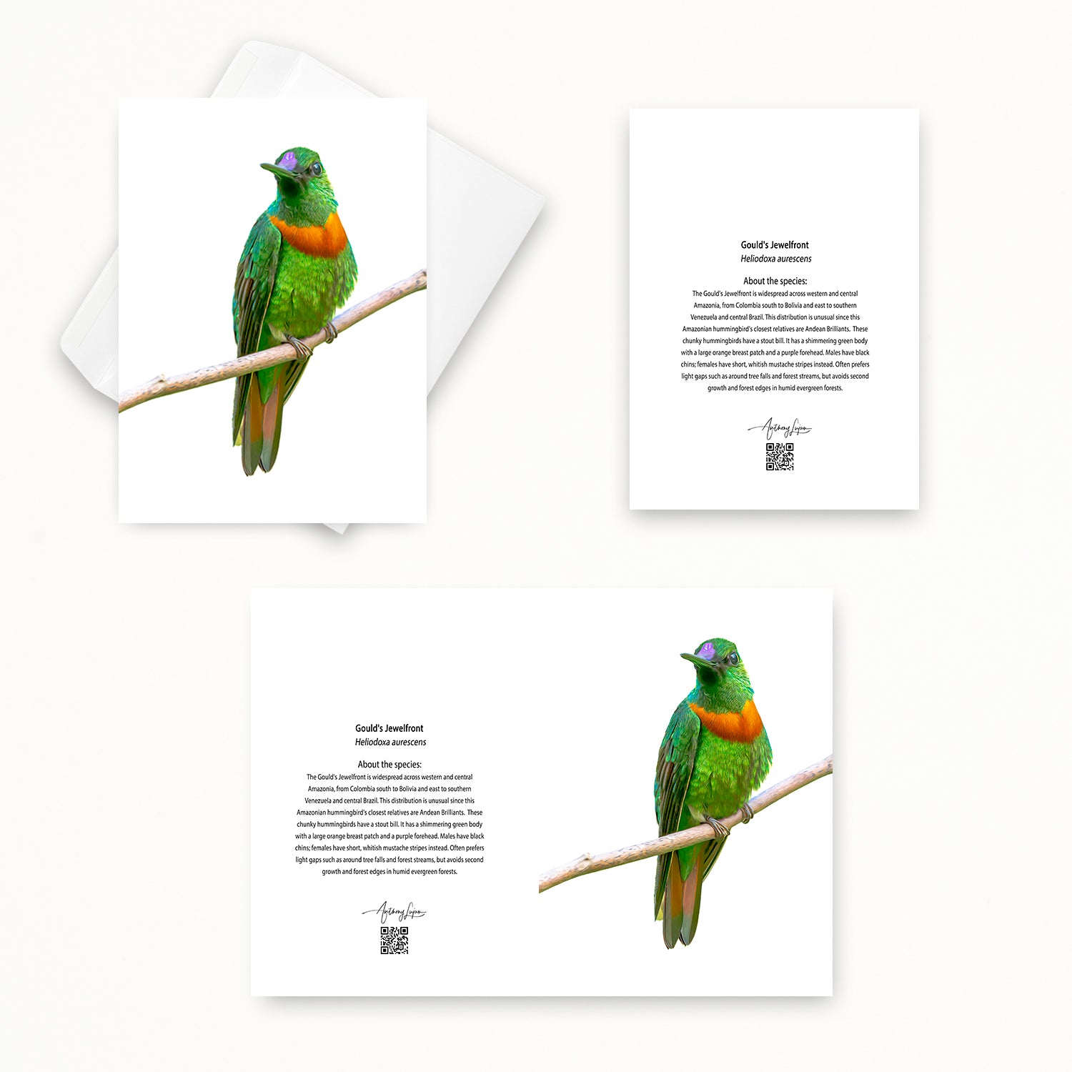 Gould’s Jewelfront 5x7 note card featuring Anthony Lujan photography