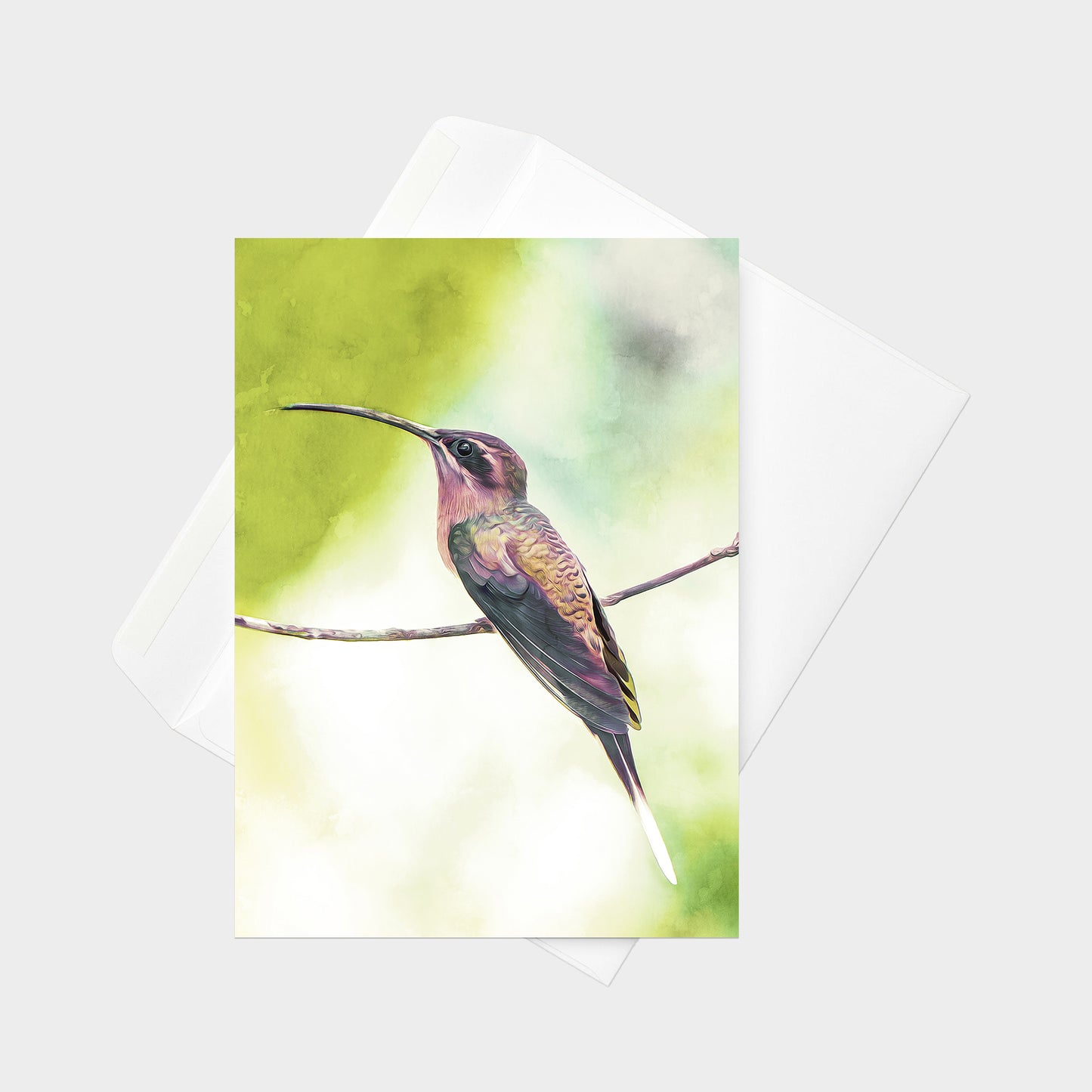 Great-billed Hermit note card back view