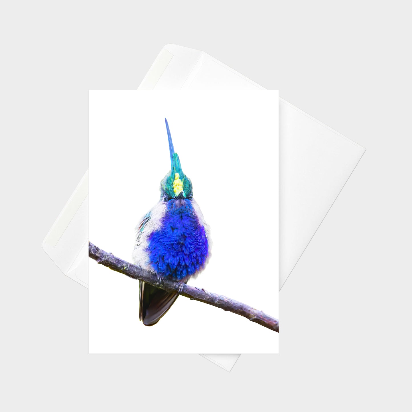 Green-crowned Plovercrest note card back view