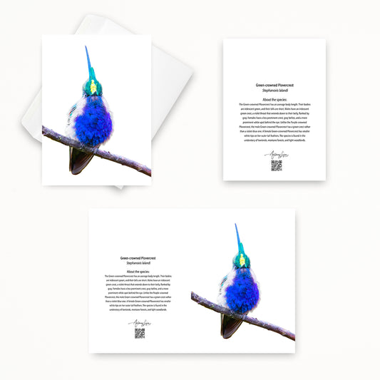 Green-crowned Plovercrest 5x7 note card featuring Anthony Lujan photography
