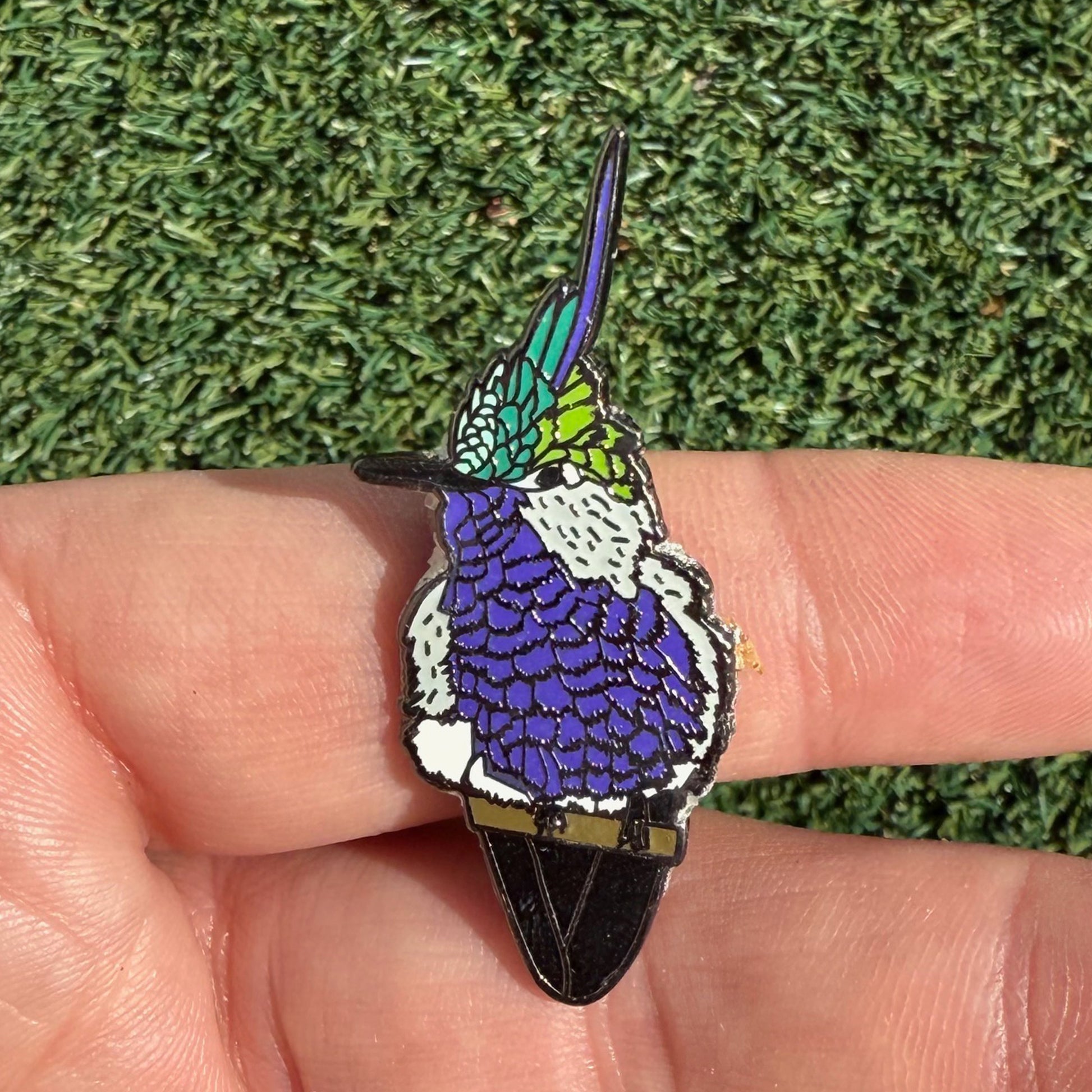 Green-crowned Plovercrest pin in hand
