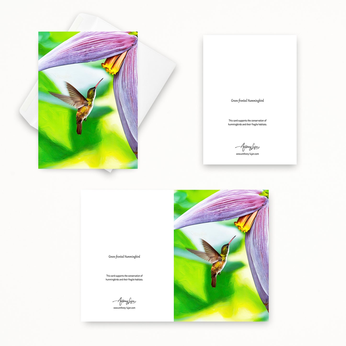 Green-fronted Hummingbird | 5x7 Note Card