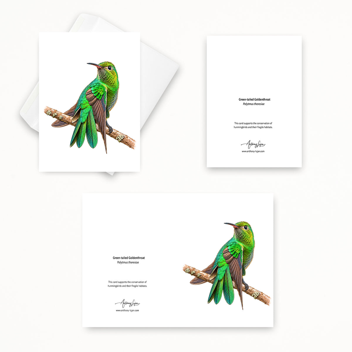 Green-tailed Goldenthroat | 5x7 Note Card