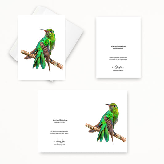 Green-tailed Goldenthroat | 5x7 Note Card
