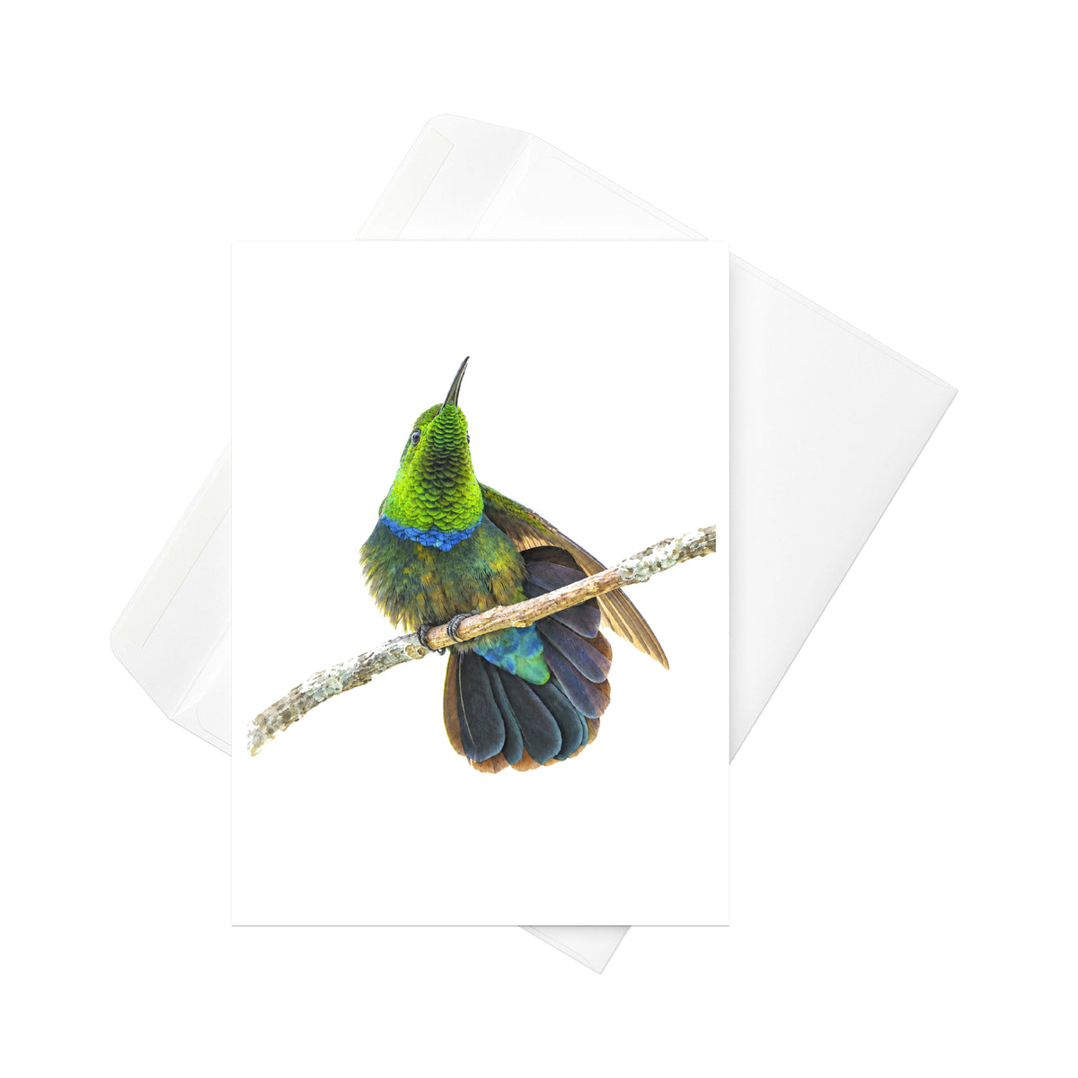Green-throated Carib | 5x7 Note Card