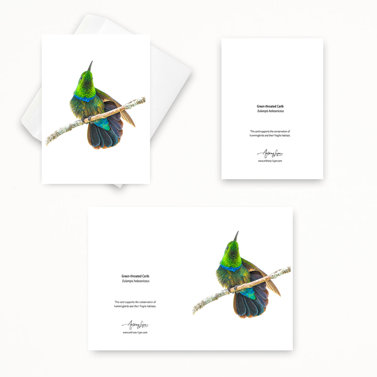 Green-throated Carib | 5x7 Note Card