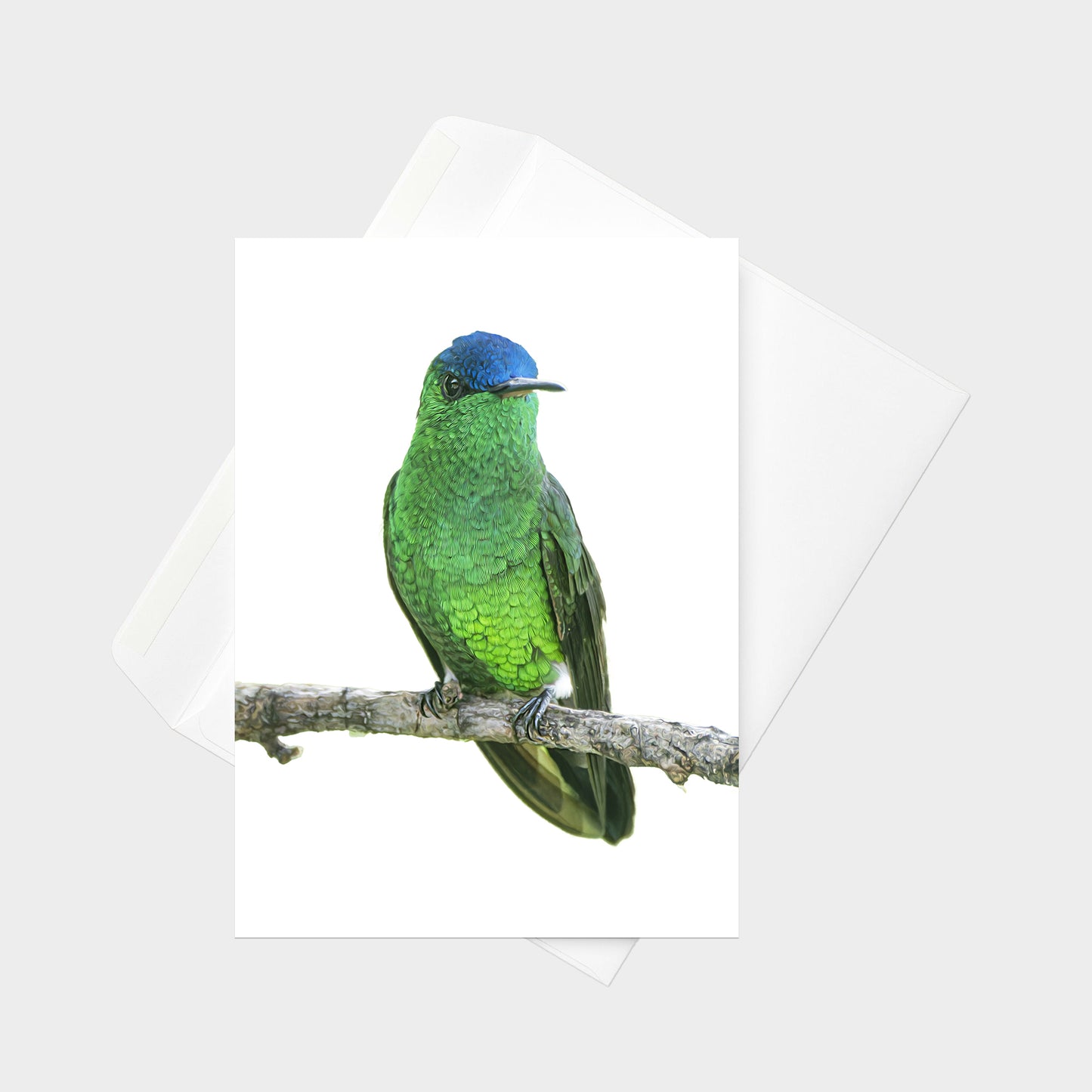 Indigo-capped Hummingbird note card back view